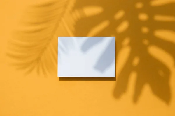 Тропічний Монстера Palm Leaf тінь на білому кадрі карти. Помаранчевий літній плакат. — стокове фото