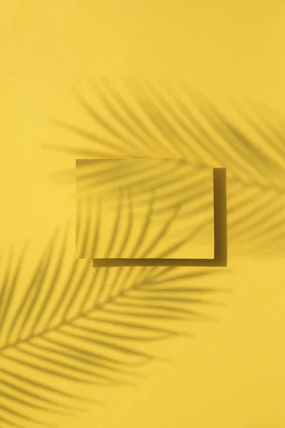 Tropische Palm blad schaduw op een gele blanco label. Exotische zomer achtergrond. — Stockfoto