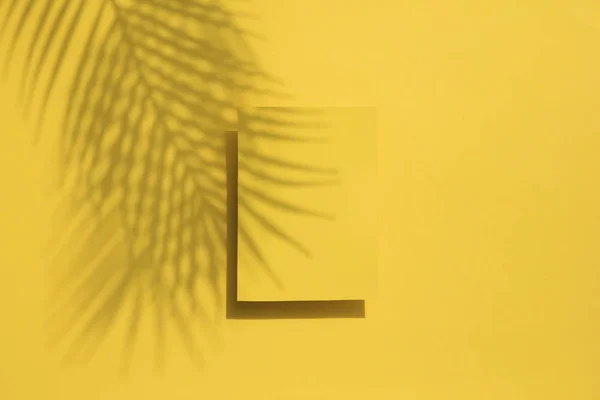 Тропічна тінь пальмового листя на жовтій порожній етикетці. Екзотичний літній фон . — стокове фото