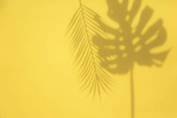 Heldere zomer trendy tropische blad schaduwen op een gele achtergrond — Stockfoto