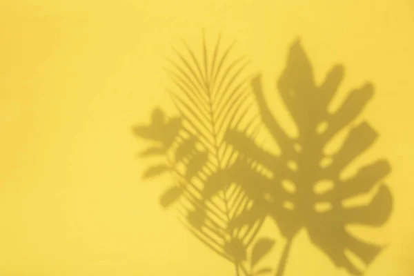 Sarı bir arka plan üzerinde parlak yaz trendy tropikal yaprak gölgeler — Stok fotoğraf