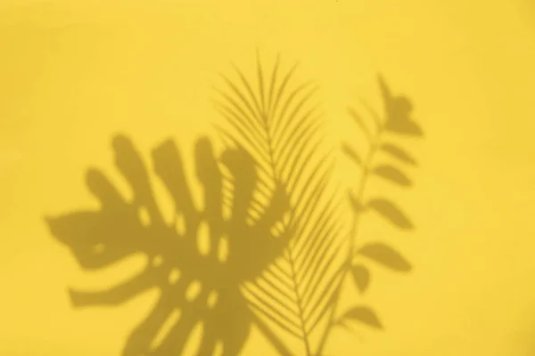 Sombras de hojas tropicales de moda en verano brillante sobre un fondo amarillo — Foto de Stock
