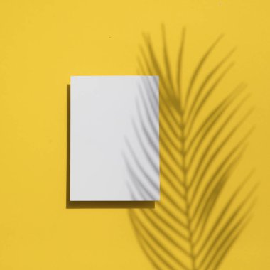 Tropikal yaz sarı arka plan. Boş beyaz etikette avuç içi yaprağı gölgesi