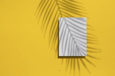 Tropikal yaz sarı arka plan. Boş beyaz etikette avuç içi yaprağı gölgesi