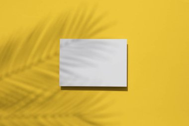 Tropikal yaz sarı arka plan. Boş beyaz etikette avuç içi yaprağı gölgesi