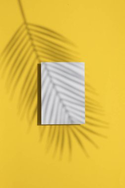 Tropikal yaz sarı arka plan. Boş beyaz etikette avuç içi yaprağı gölgesi