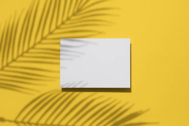 Tropikal yaz sarı arka plan. Boş beyaz etikette avuç içi yaprağı gölgesi