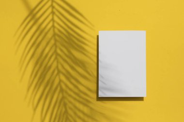 Tropikal yaz sarı arka plan. Boş beyaz etikette avuç içi yaprağı gölgesi