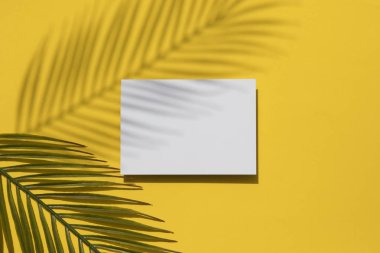Tropikal yaz sarı arka plan. Boş beyaz etikette avuç içi yaprağı gölgesi