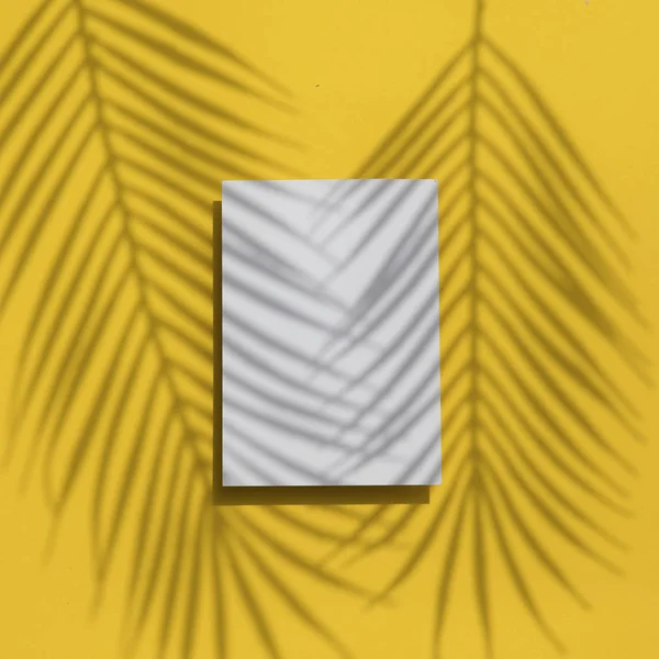 Tropical summer yellow background. Palm leaf shadow on a blank white label — Stock Photo, Image