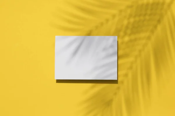 Fondo amarillo veraniego tropical. Sombra de hoja de palma en una etiqueta blanca en blanco —  Fotos de Stock