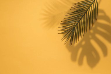 Parlak turuncu arka planda yaz trendy tropikal yaprak gölgeler