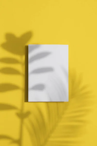 Літній жовтий фон. Тропічна тінь листя на чистій білій етикетці — стокове фото