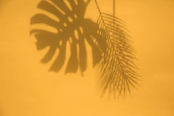 Літні модні тропічні тіні листя на яскраво-оранжевому тлі — стокове фото