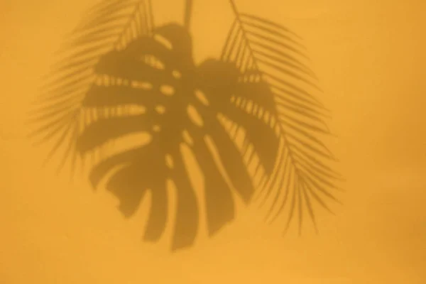 Летний модный тропический лист тени на ярко-оранжевом фоне — стоковое фото