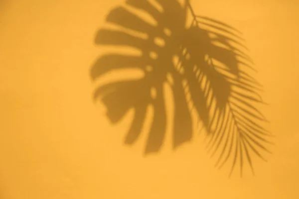 Καλοκαίρι μοντέρνα τροπικά φύλλα σκιές σε ένα φωτεινό πορτοκαλί φόντο — Φωτογραφία Αρχείου