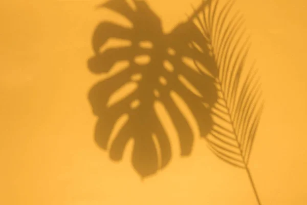 Καλοκαίρι μοντέρνα τροπικά φύλλα σκιές σε ένα φωτεινό πορτοκαλί φόντο — Φωτογραφία Αρχείου