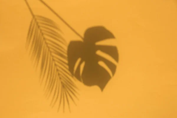 Sombras de folhas tropicais na moda de verão em um fundo laranja brilhante — Fotografia de Stock