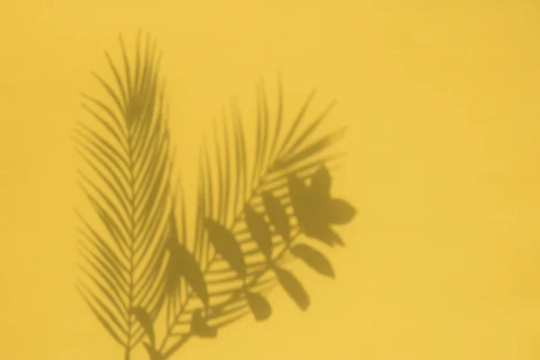 Sombra de hojas de palmera tropical sobre un fondo amarillo. Diseño de verano — Foto de Stock