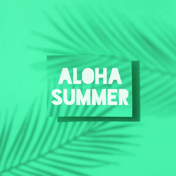 Aloha summer tropical palm leaf shadow label. Exotic summer background.