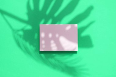 Boş beyaz kart çerçevesi ile Tropikal monstera palmiye yaprağı gölge