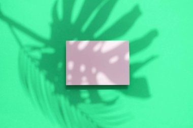 Boş beyaz kart çerçevesi ile Tropikal monstera palmiye yaprağı gölge