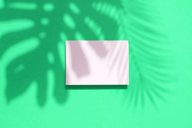 Boş beyaz kart çerçevesi ile Tropikal monstera palmiye yaprağı gölge