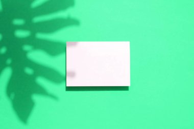 Boş beyaz kart çerçevesi ile Tropikal monstera palmiye yaprağı gölge