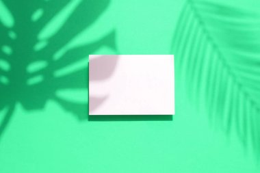 Boş beyaz kart çerçevesi ile Tropikal monstera palmiye yaprağı gölge