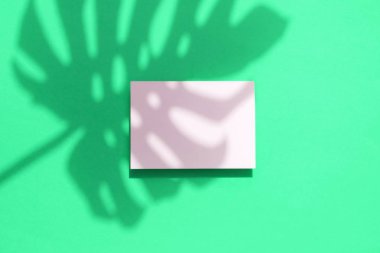 Boş beyaz kart çerçevesi ile Tropikal monstera palmiye yaprağı gölge