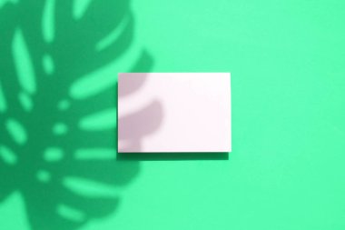 Boş beyaz kart çerçevesi ile Tropikal monstera palmiye yaprağı gölge