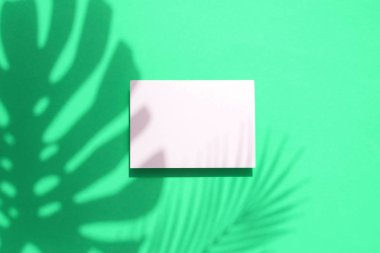 Boş beyaz kart çerçevesi ile Tropikal monstera palmiye yaprağı gölge