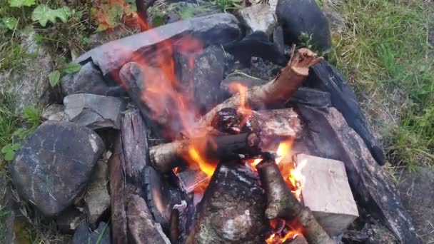 Açık hava şenlik ateşinden alevlerin yavaş hareketi — Stok video