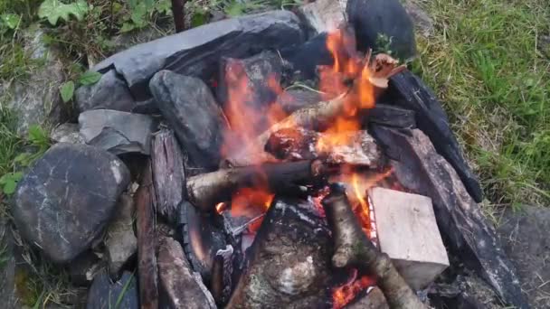 Zeitlupe der Flammen eines Lagerfeuers — Stockvideo