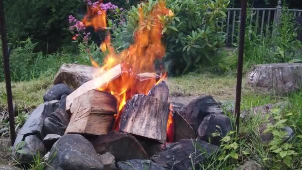 Zeitlupe der Flammen eines Lagerfeuers — Stockvideo