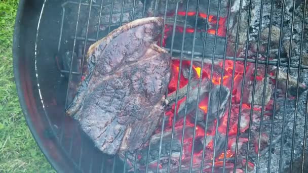 Una bistecca succulenta che viene grigliata su un barbecue. Rallentatore — Video Stock