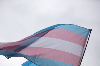 Lgbt gay gurur yürüyüşünde bir transseksüel bayrağı sallanıyor