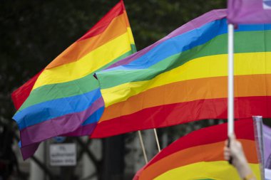 Bir Lgbt gay gurur gökkuşağı bayrağı bir gurur topluluk kutlama olay sallandı ediliyor