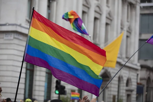 Gay pride rainbow flags being waved in the air at a pride event