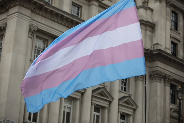 A transznemű zászló is integetett a LMBT meleg büszkeség március — Stock Fotó