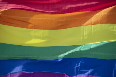 Bir Lgbt gay gurur gökkuşağı bayrağı bir gurur topluluk kutlama olay sallandı ediliyor