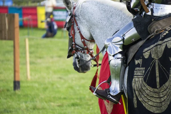 Parlak zırh giyen bir atın üzerinde oturan bir ortaçağ şövalyesi