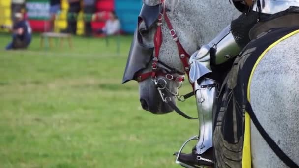 Un caballero medieval con armadura montada a caballo — Vídeos de Stock