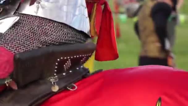 At sırtında oturan bir ortaçağ şövalyesi zırhı — Stok video