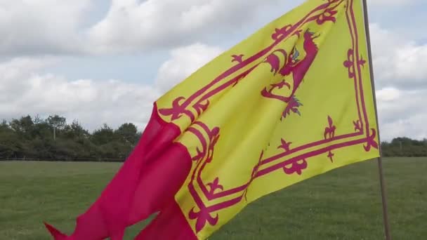 Diseño medieval de cámara lenta bandera de escudo de armas roja y amarilla ondeando en el viento — Vídeo de stock