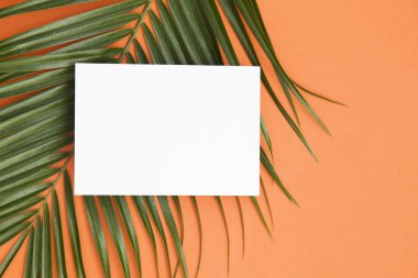 Kopya ile bir yaz turuncu arka plan üzerinde Tropikal palmiye ağacı yaprağı 
