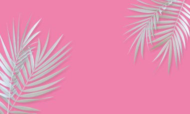Tropikal beyaz palmiye yaprağı parlak soyut arka plan. Egzotik