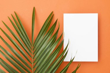 Kopya ile bir yaz turuncu arka plan üzerinde Tropikal palmiye ağacı yaprağı 