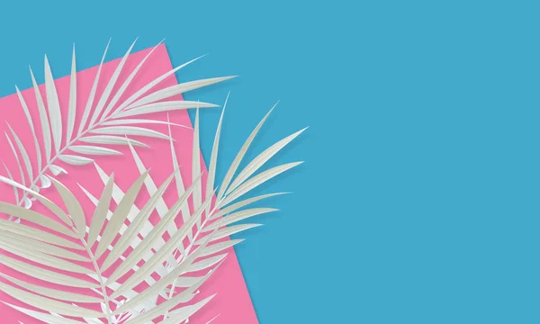 Tropische witte Palm Tree blad heldere abstracte achtergrond. Exotische — Stockfoto