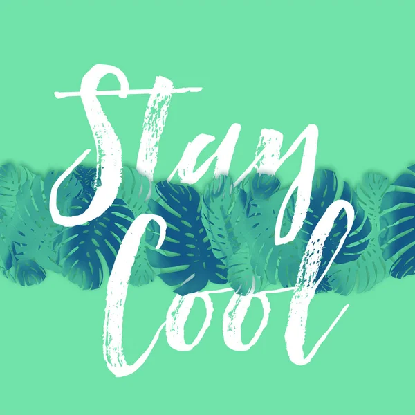 Stay cool tropical palm tree leaf background